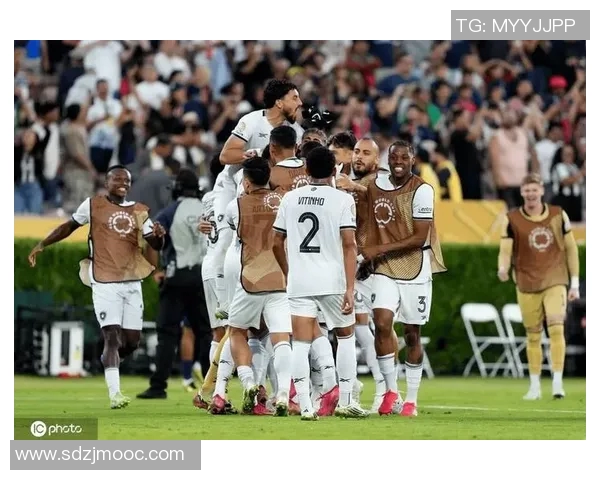 南美解放者杯国民波托西主场大胜