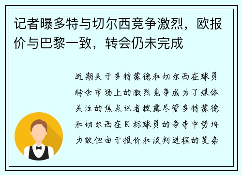 记者曝多特与切尔西竞争激烈，欧报价与巴黎一致，转会仍未完成