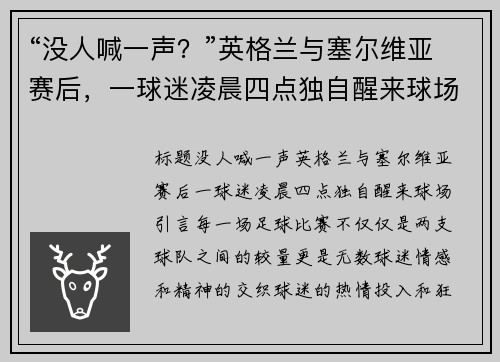 “没人喊一声？”英格兰与塞尔维亚赛后，一球迷凌晨四点独自醒来球场