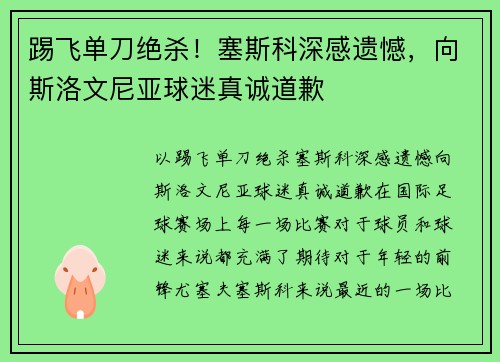 踢飞单刀绝杀！塞斯科深感遗憾，向斯洛文尼亚球迷真诚道歉