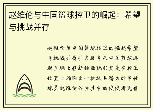 赵维伦与中国篮球控卫的崛起：希望与挑战并存