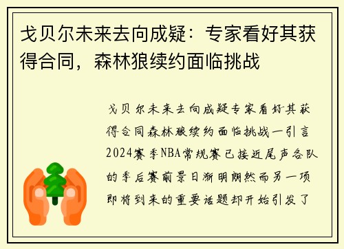 戈贝尔未来去向成疑:专家看好其获得合同,森林狼续约面临挑战 戈贝尔未来去向成疑:专家看好其获得合同,森林狼续约面临挑战
