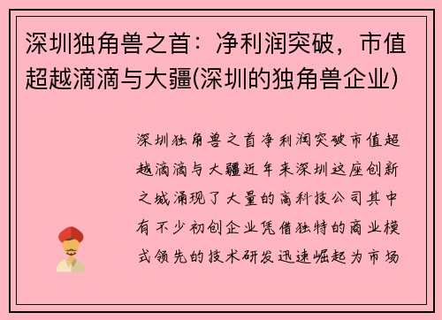 深圳独角兽之首:净利润突破,市值超越滴滴与大疆(深圳的独角兽企业) 深圳独角兽之首:净利润突破,市值超越滴滴与大疆(深圳的独角兽企业)