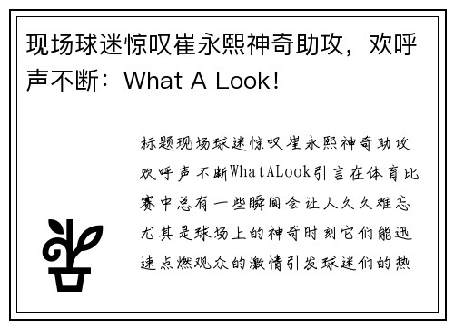 现场球迷惊叹崔永熙神奇助攻,欢呼声不断:What A Look! 现场球迷惊叹崔永熙神奇助攻,欢呼声不断:What A Look!