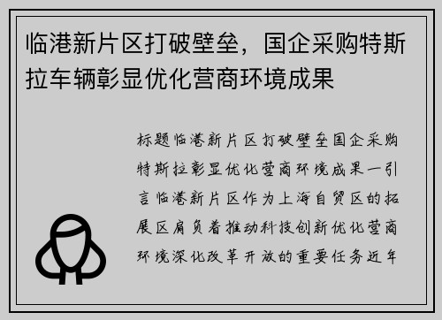 临港新片区打破壁垒，国企采购特斯拉车辆彰显优化营商环境成果