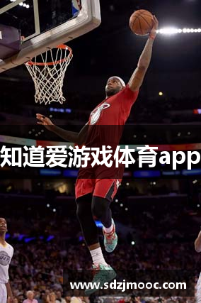 知道爱游戏体育app